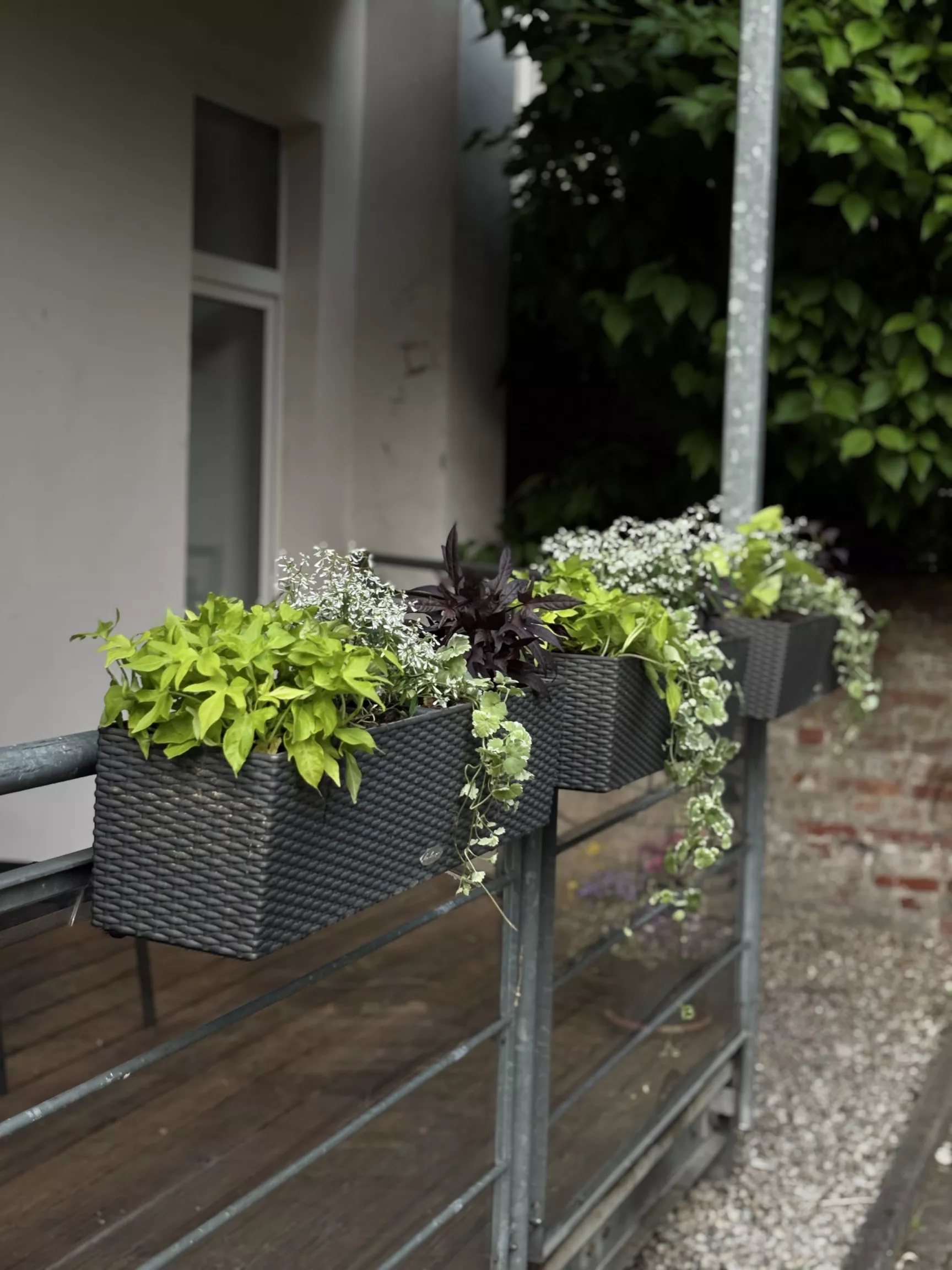 Balkon Balkon